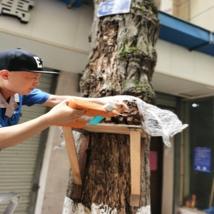 園林綠化
